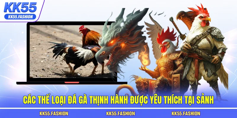 Các thể loại đá gà thịnh hành được yêu thích tại sảnh